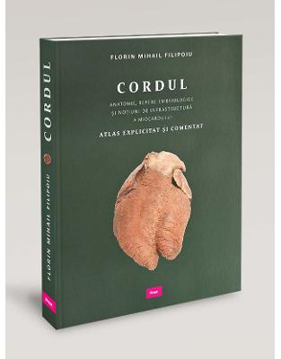 Cordul - Anatomie, repere embriologice si notiuni de infrastructura a miocardului