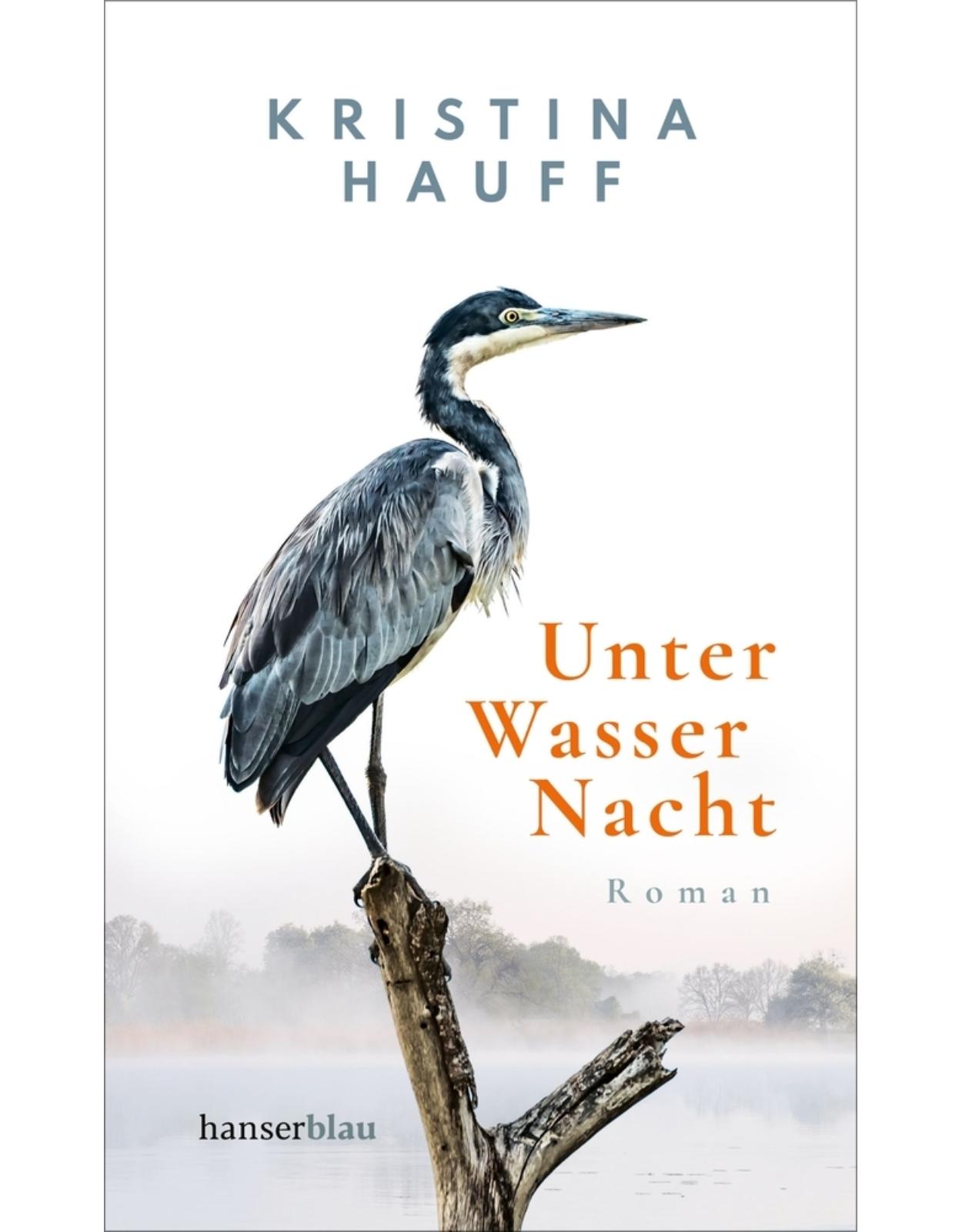 Unter Wasser Nacht