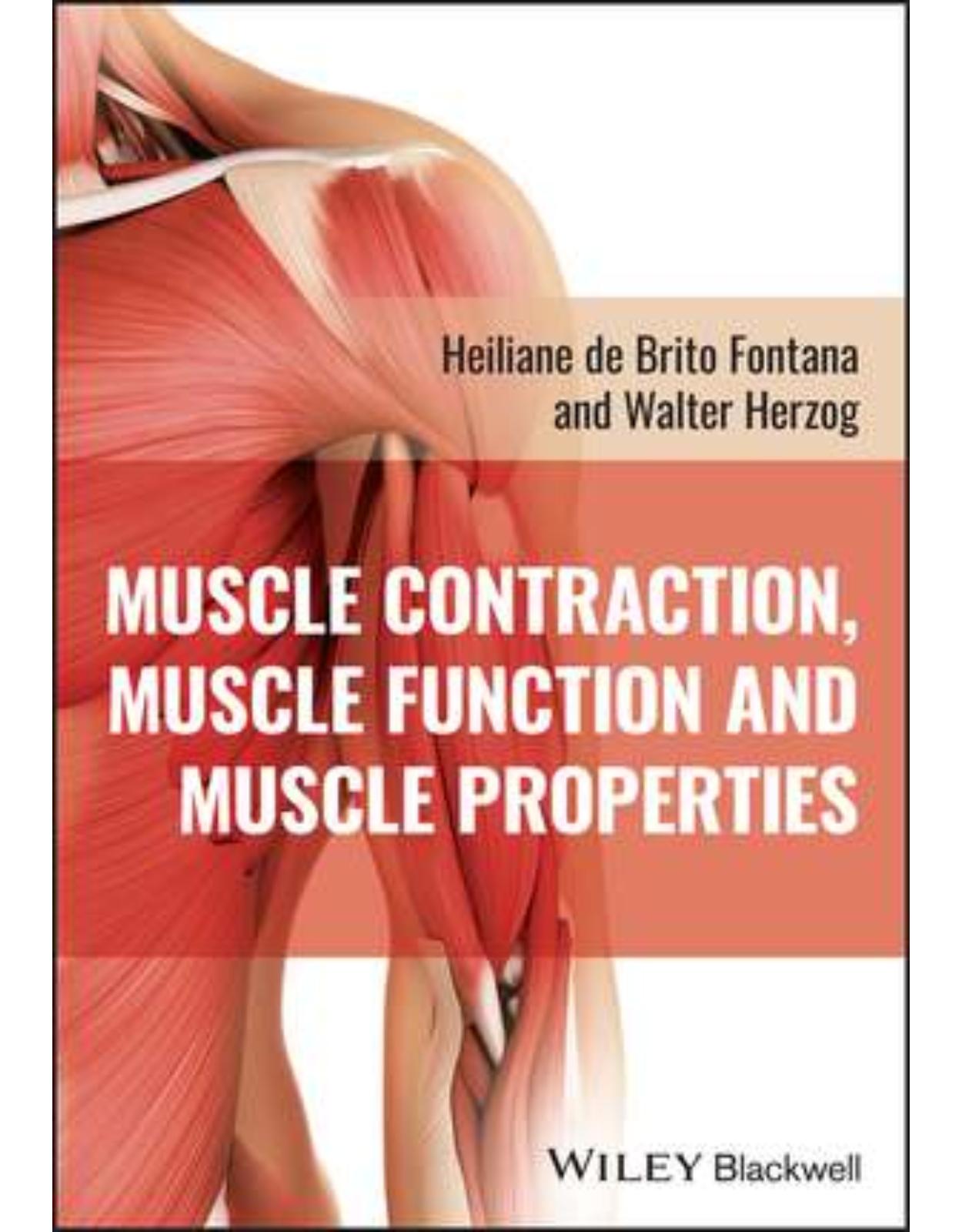 Muscle Contraction, Muscle Function and Muscle Pro perties
