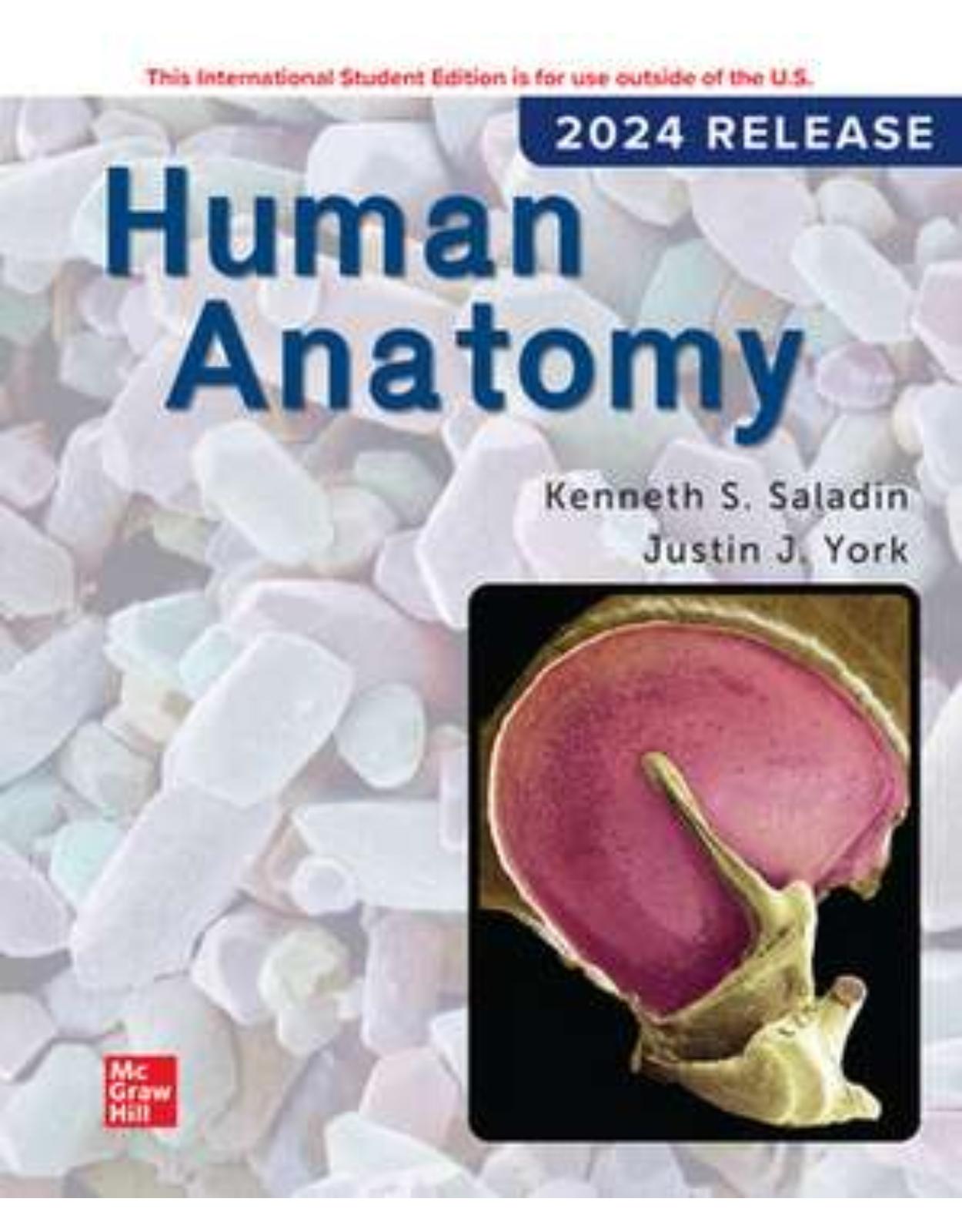 Human Anatomy 