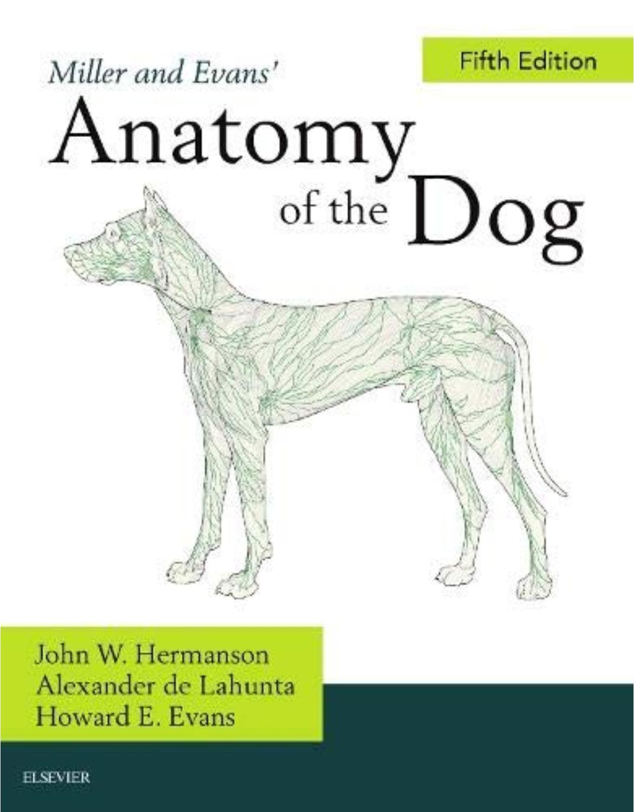 Miller's Anatomy of the Dog