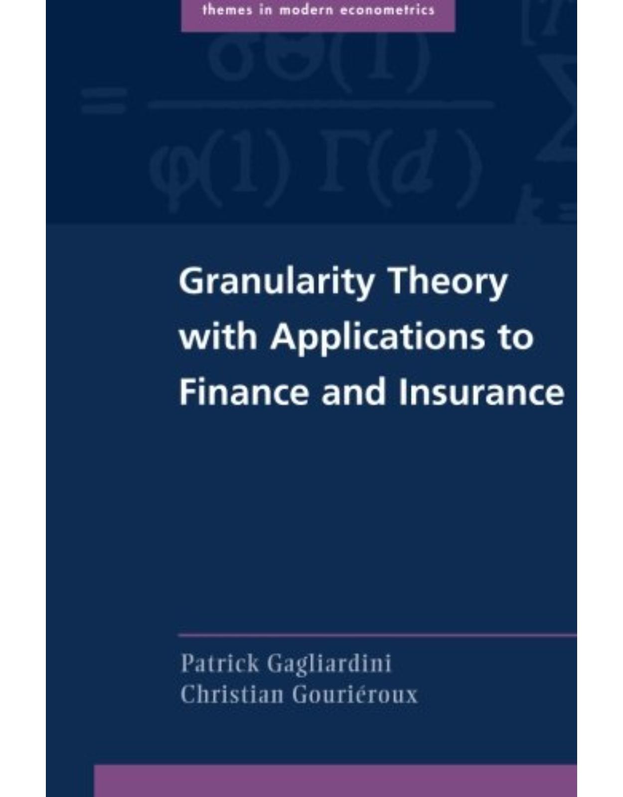 Granularity Theory with Applications to Finance and Insurance (Themes in Modern Econometrics)