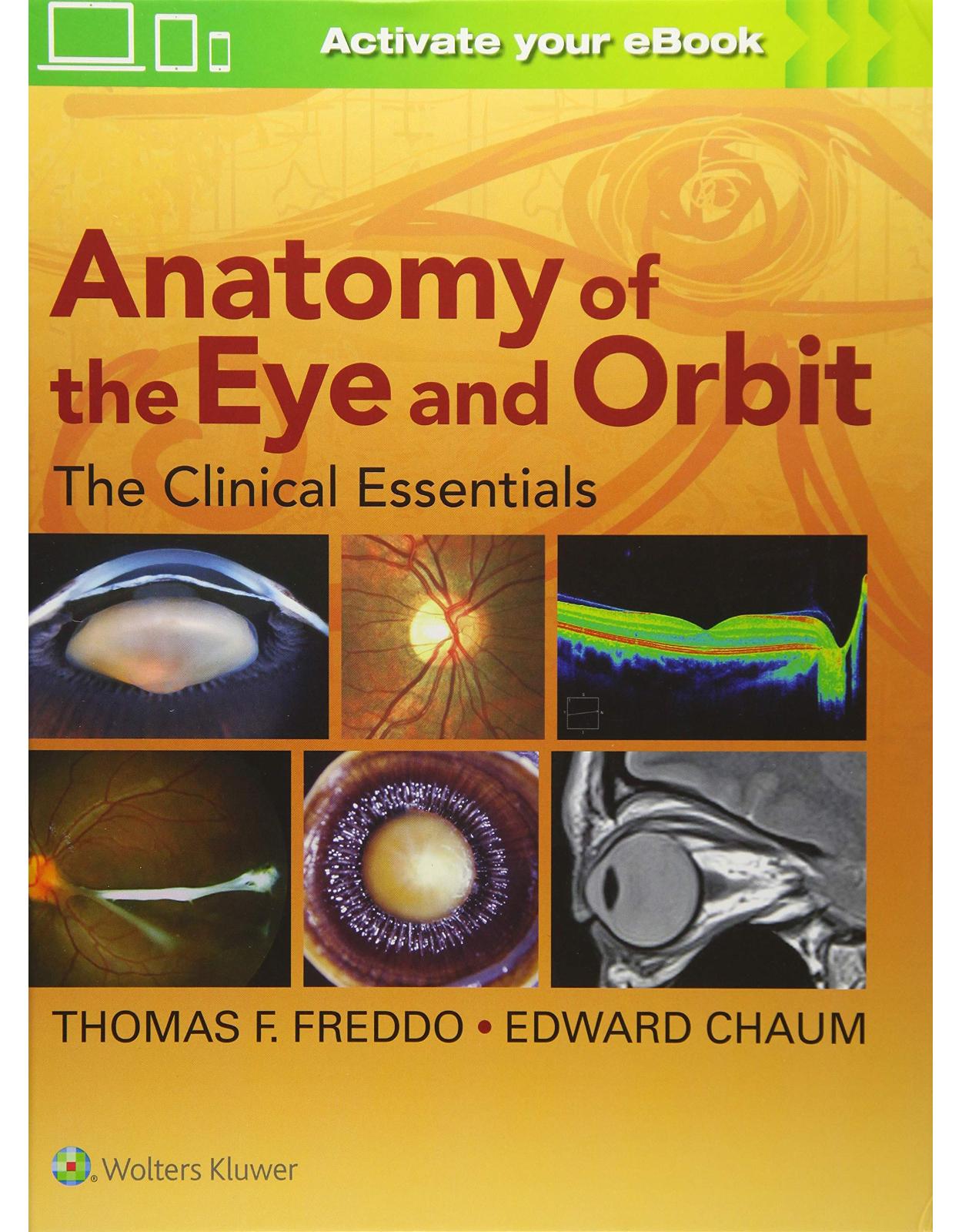 Anatomy of the Eye and Orbit: The Clinical Essentials