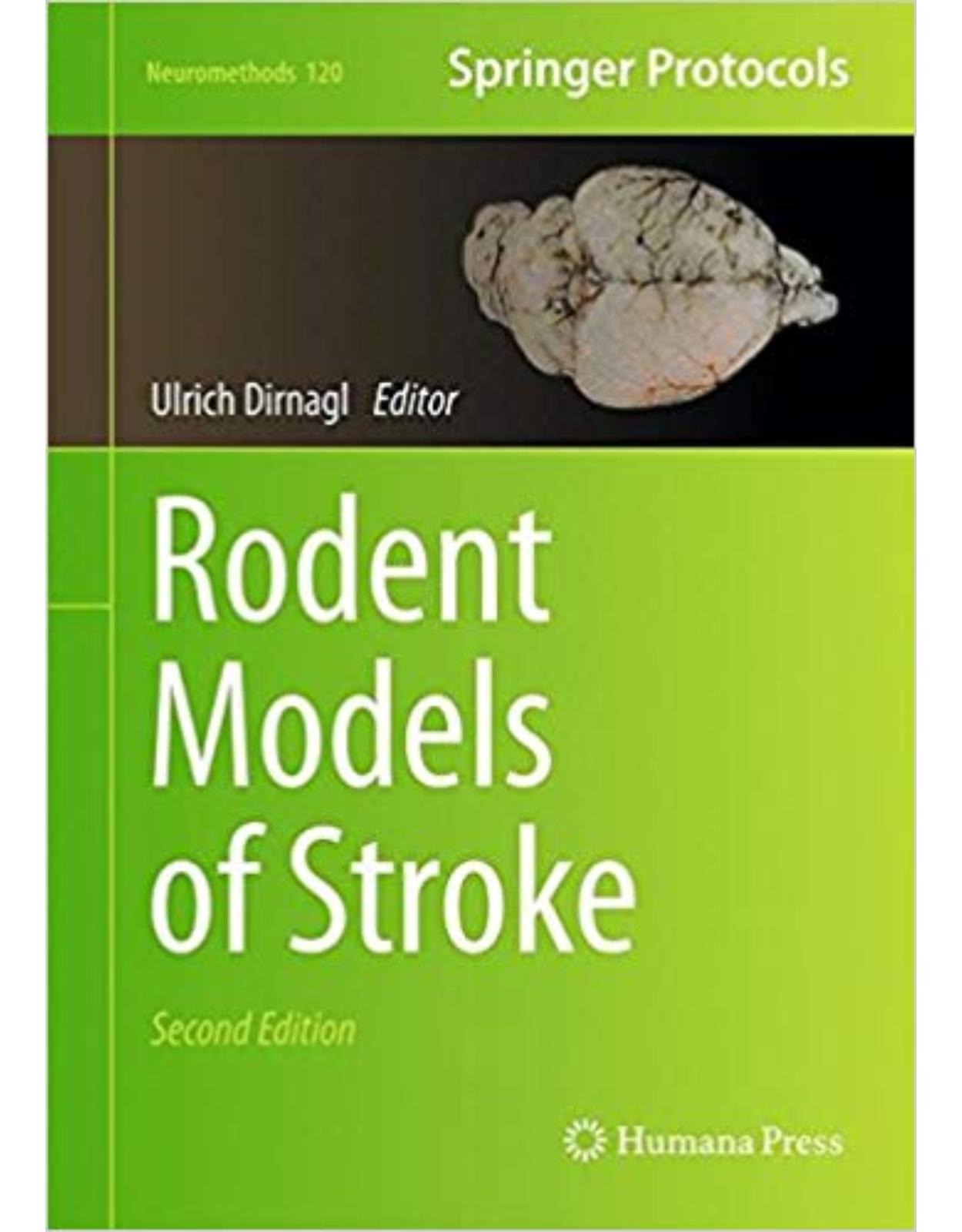 Rodent Models of Stroke