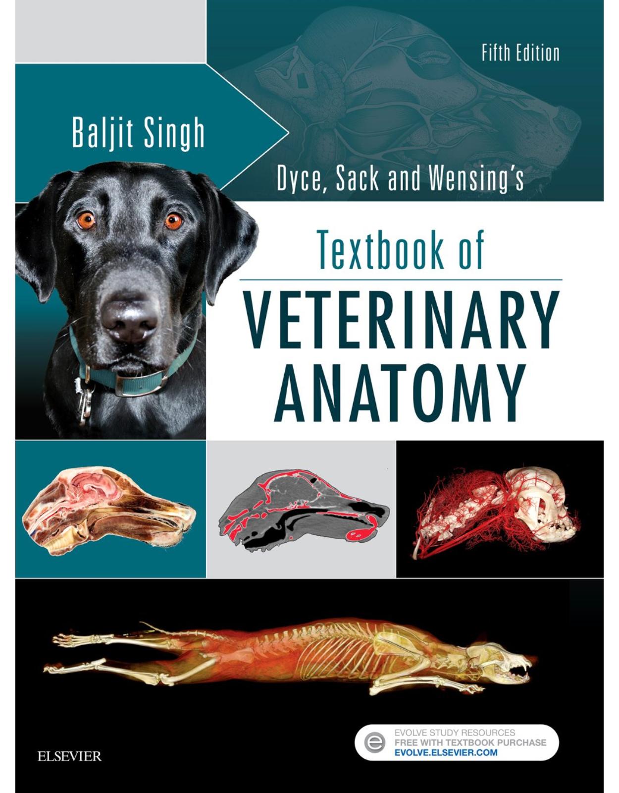 Dyce, Sack, and Wensing's Textbook of Veterinary Anatomy, 5e