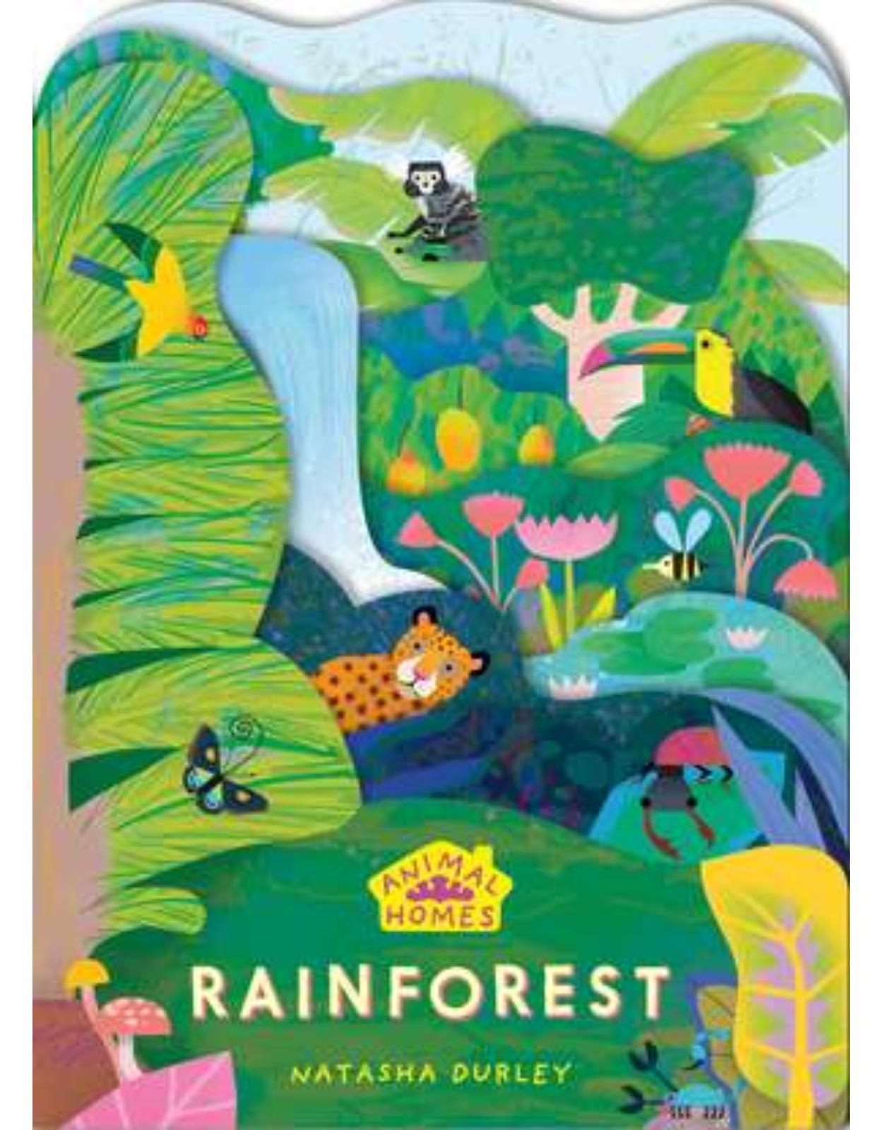 Animal Homes: Rainforest