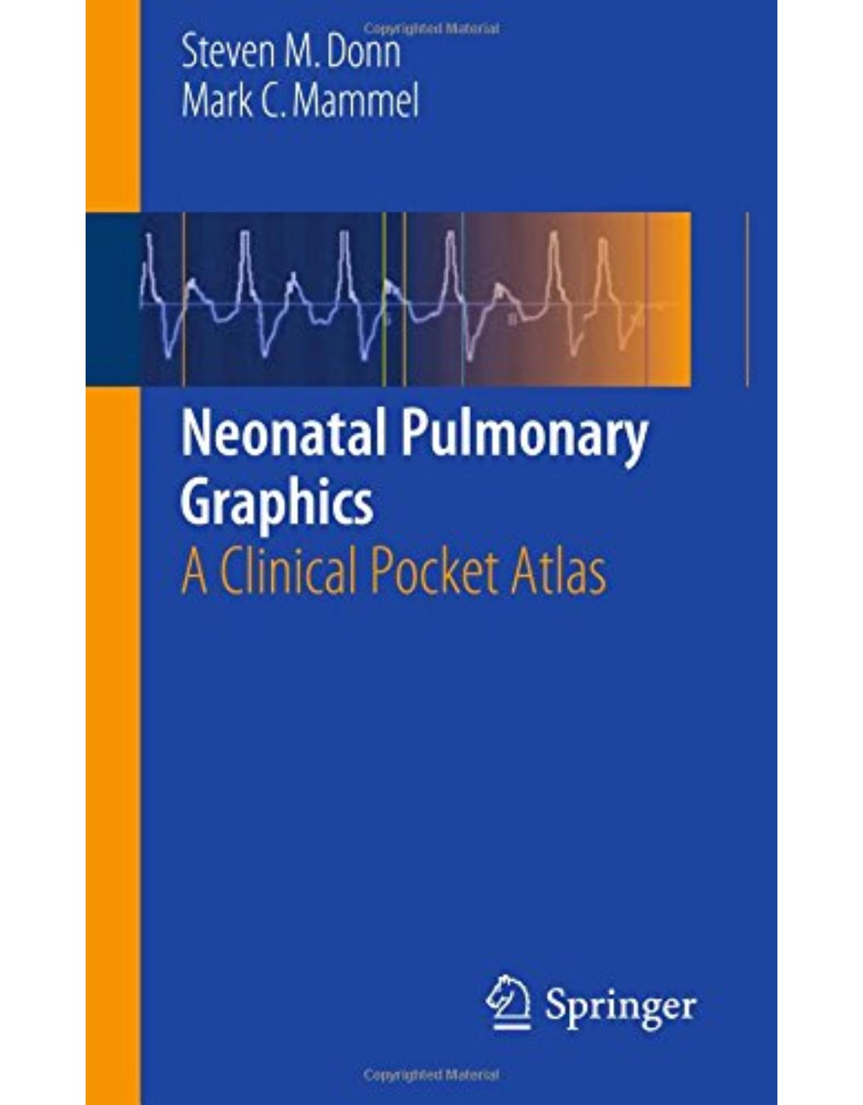 Neonatal Pulmonary Graphics. A Clinical Pocket Atlas