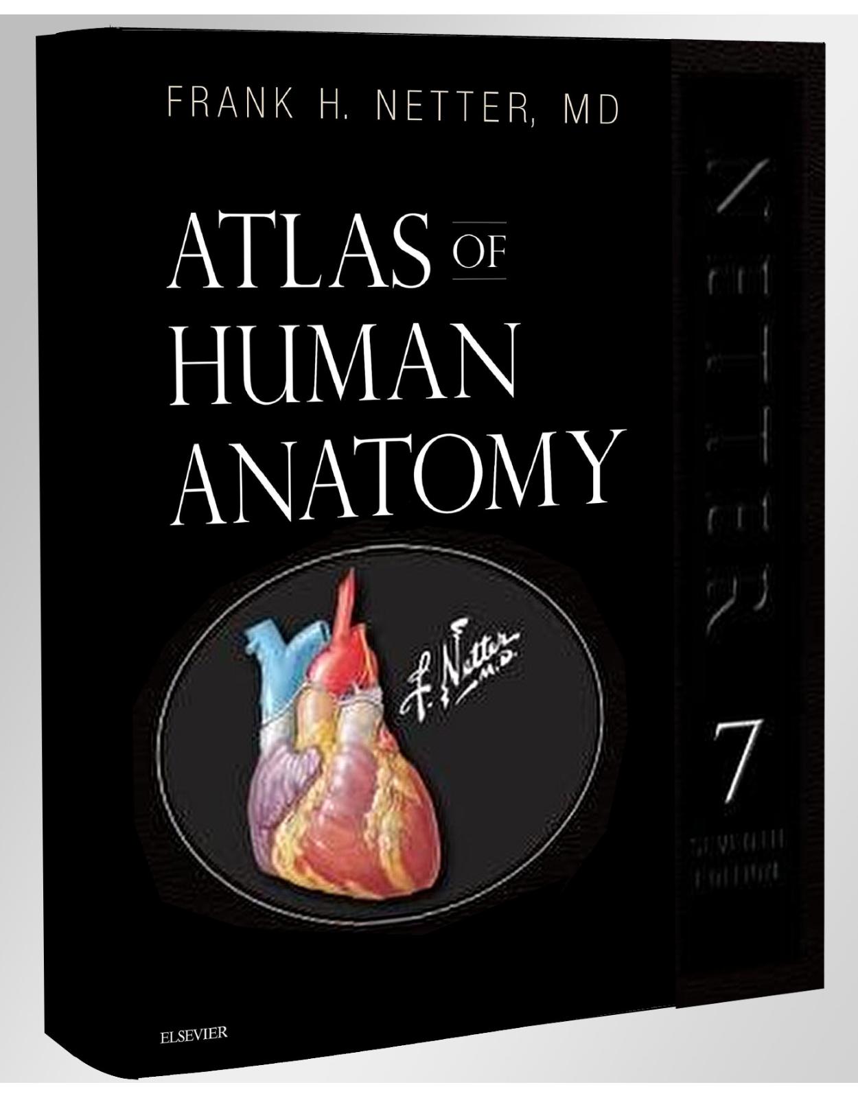 Atlas of Human Anatomy, Professional Edition, 7th Edition