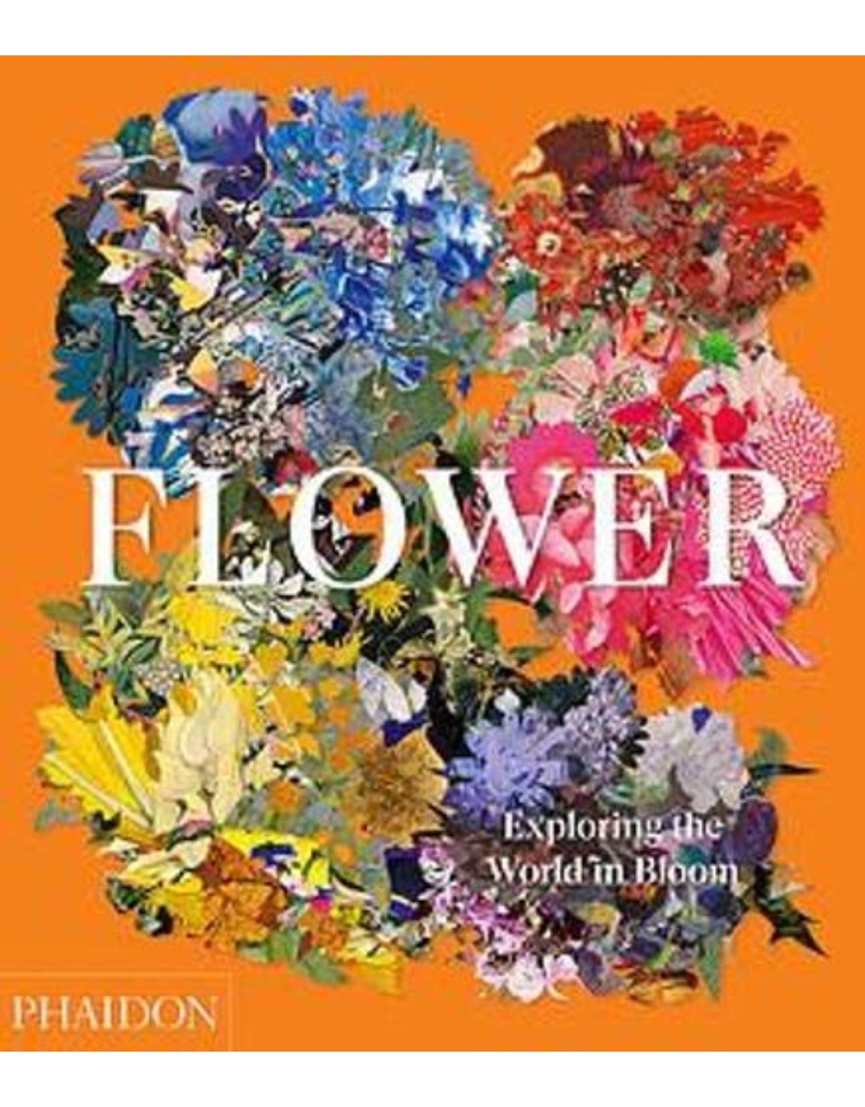 Flower: Exploring the World in Bloom