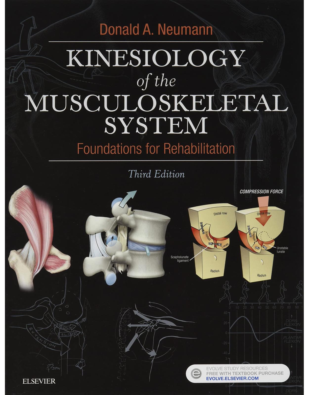 Kinesiology of the Musculoskeletal System: Foundations for Rehabilitation, 3e