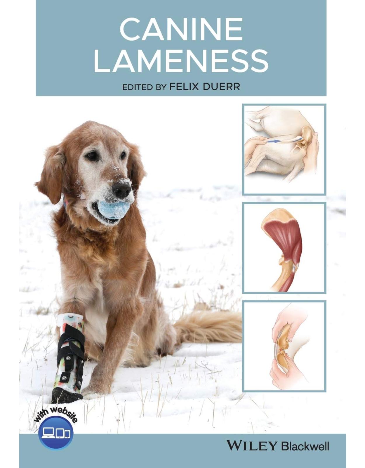 Canine Lameness