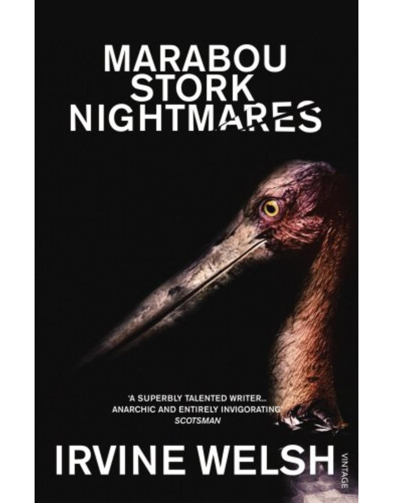 Marabou Stork Nightmares