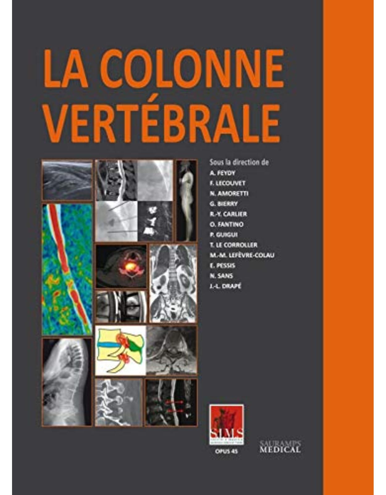 LA COLONNE VERTEBRALE