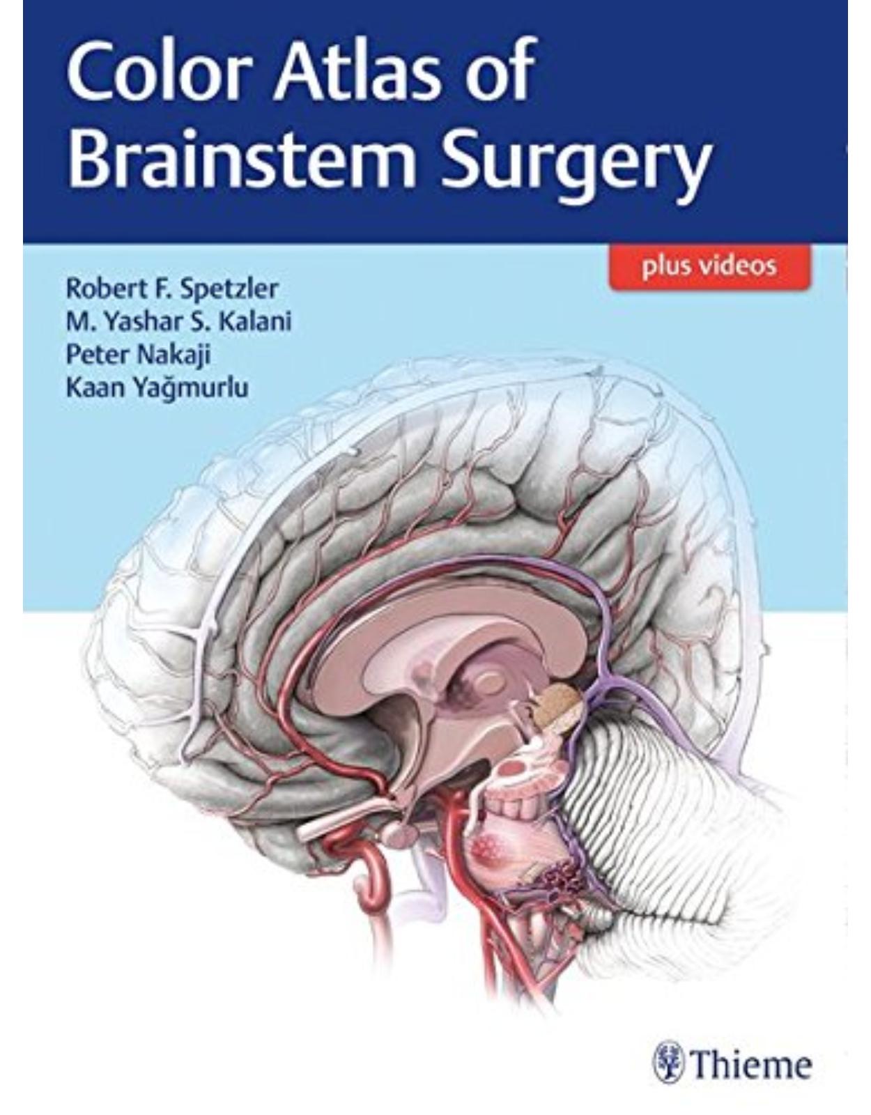 Color Atlas of Brainstem Surgery