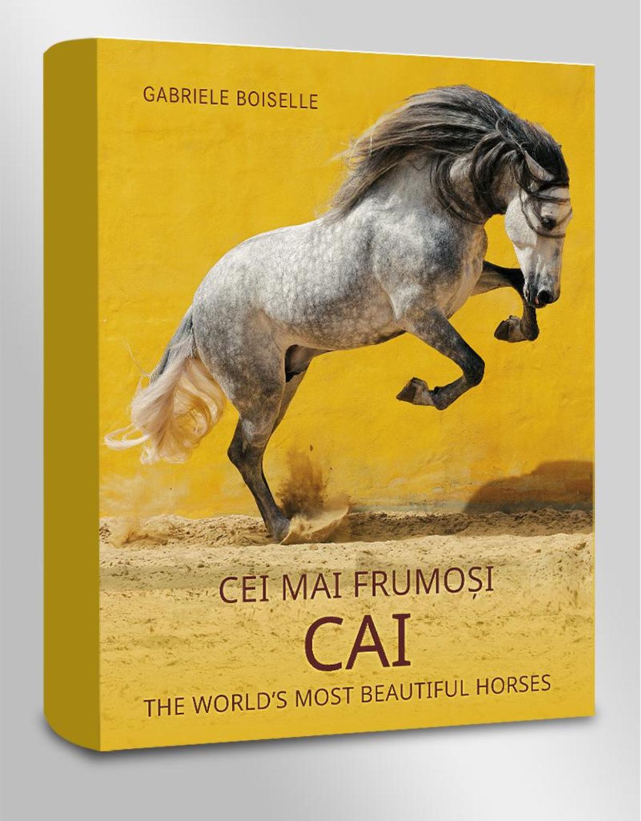 Album de arta -Cei mai frumosi cai