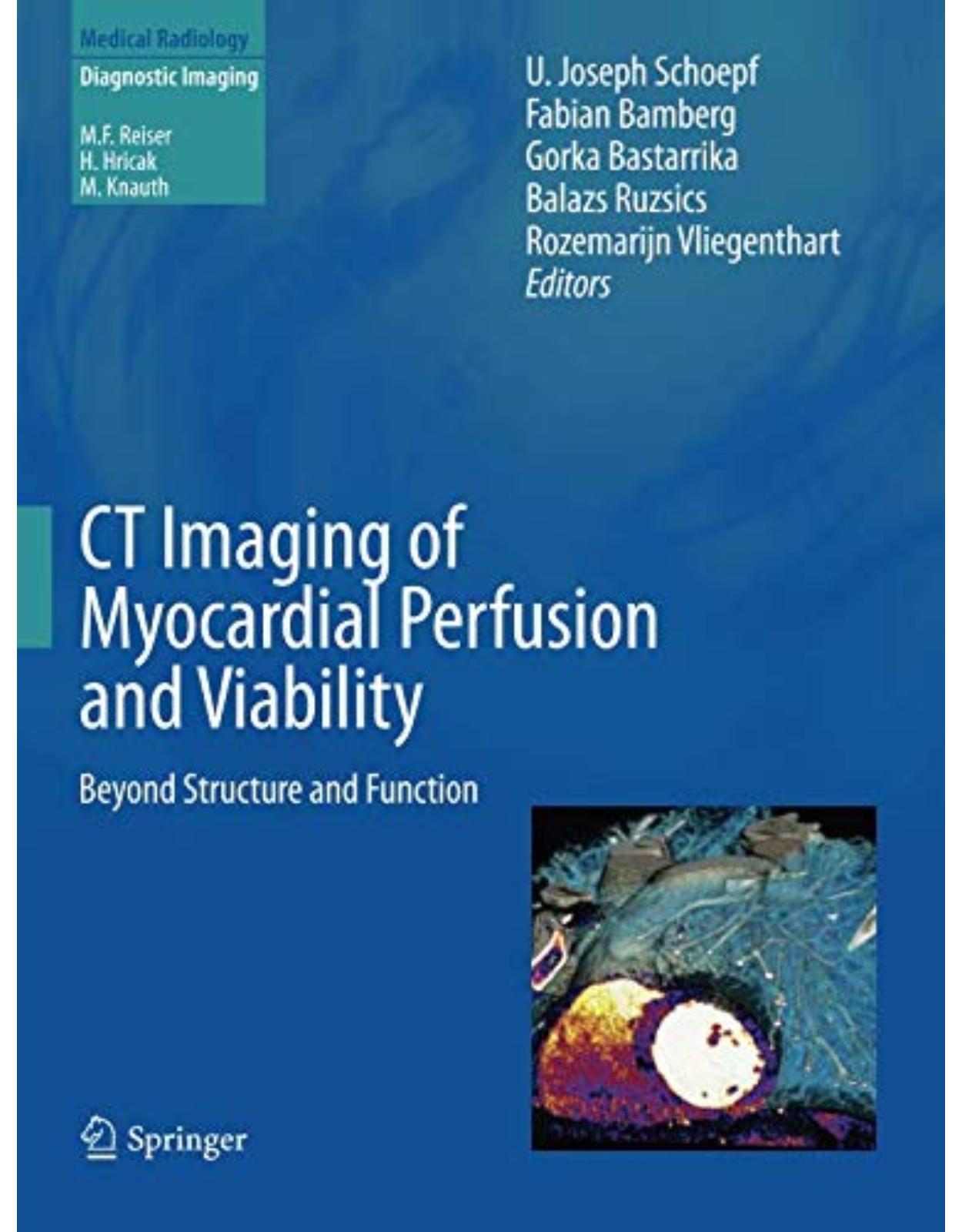 CT Imaging of Myocardial Perfusion and Viability: Beyond Structure and Function