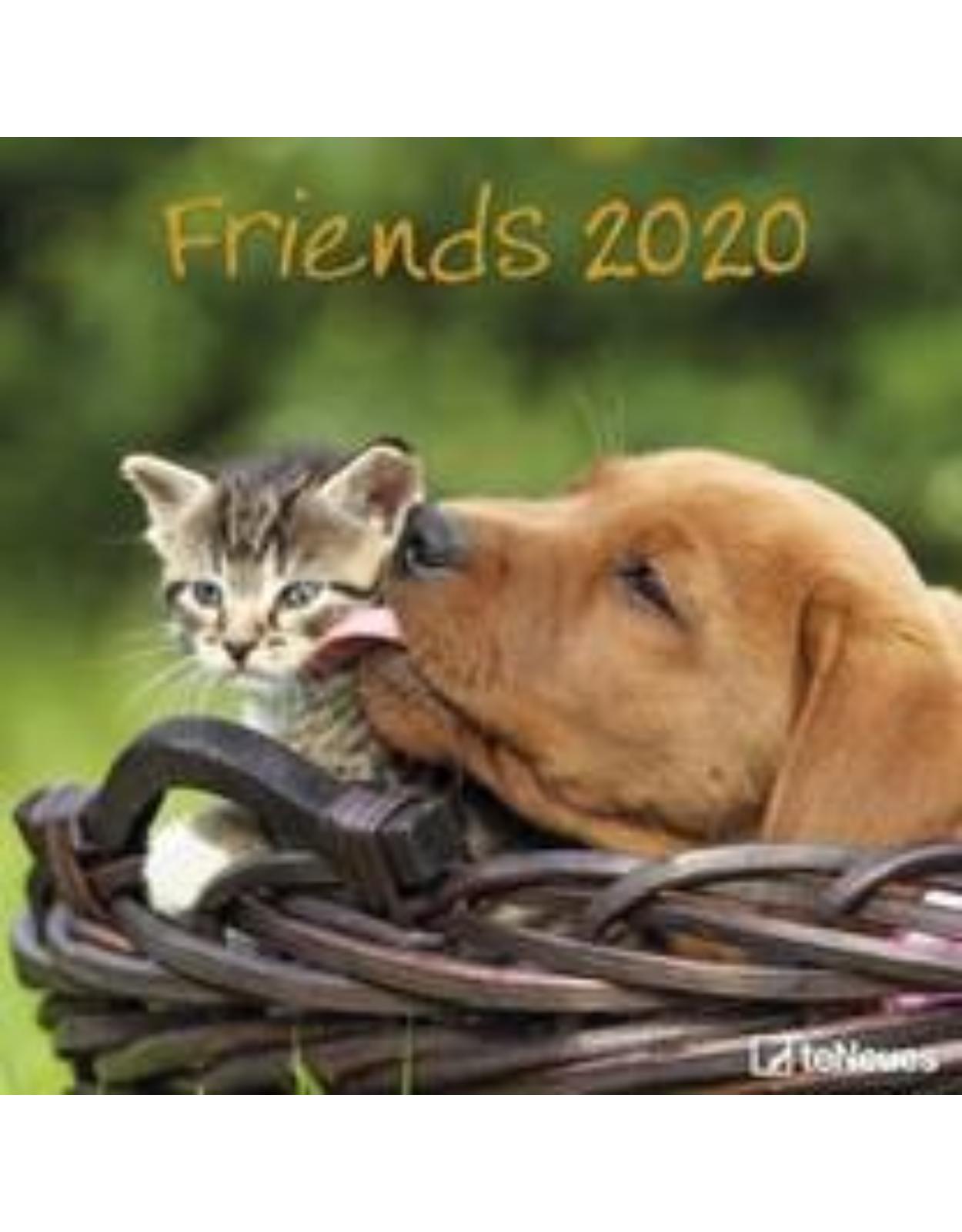 Friends 2020  