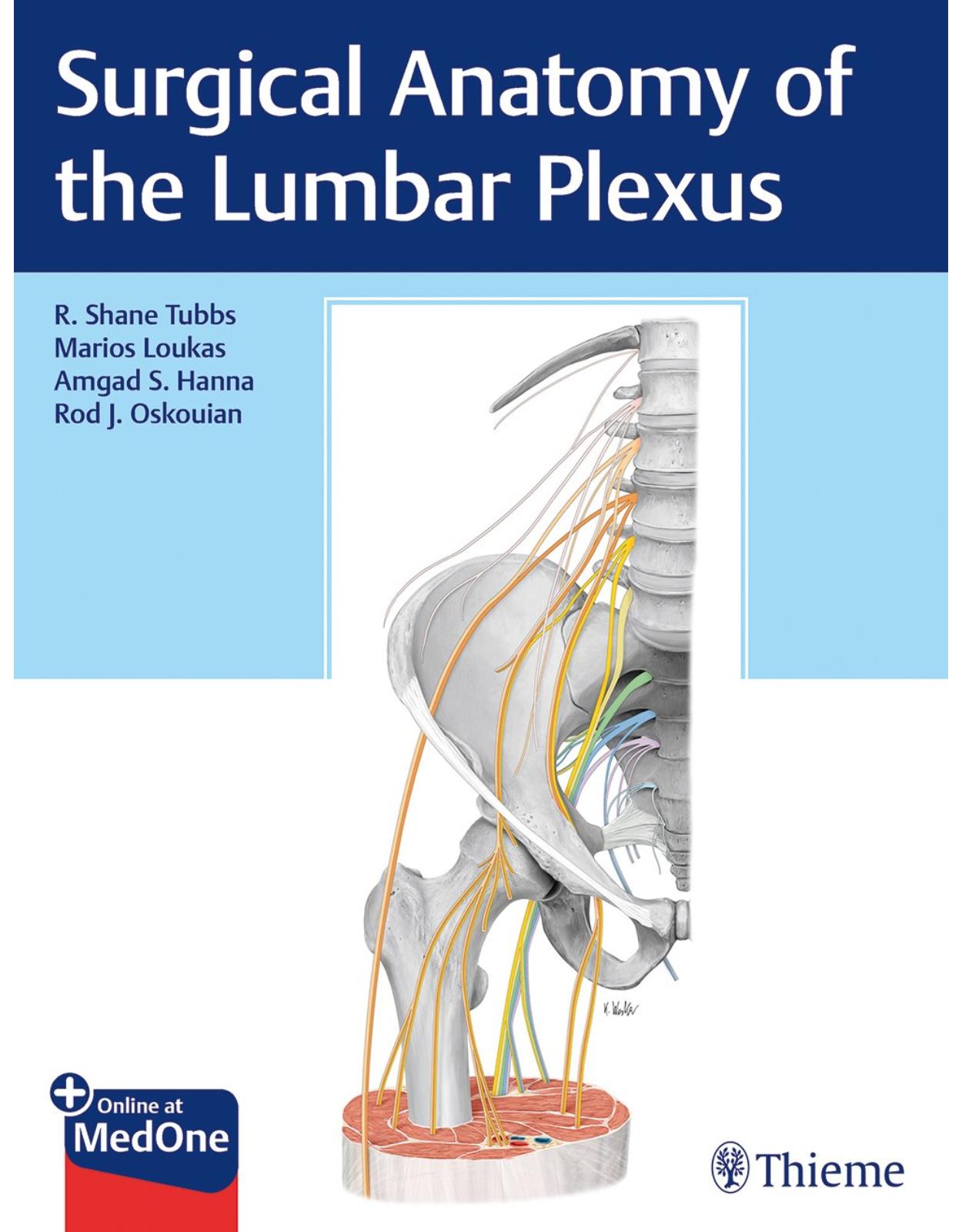 Surgical Anatomy of the Lumbar Plexus