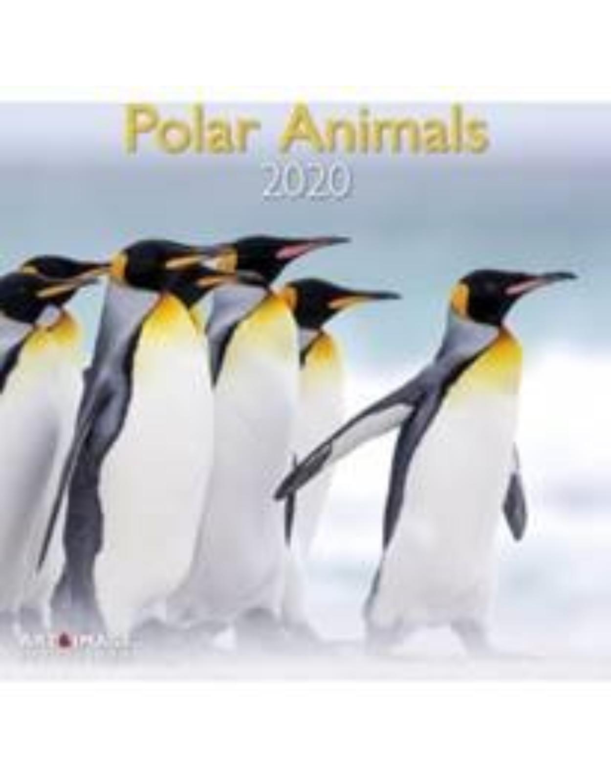 Polar Animals 2020 A&I