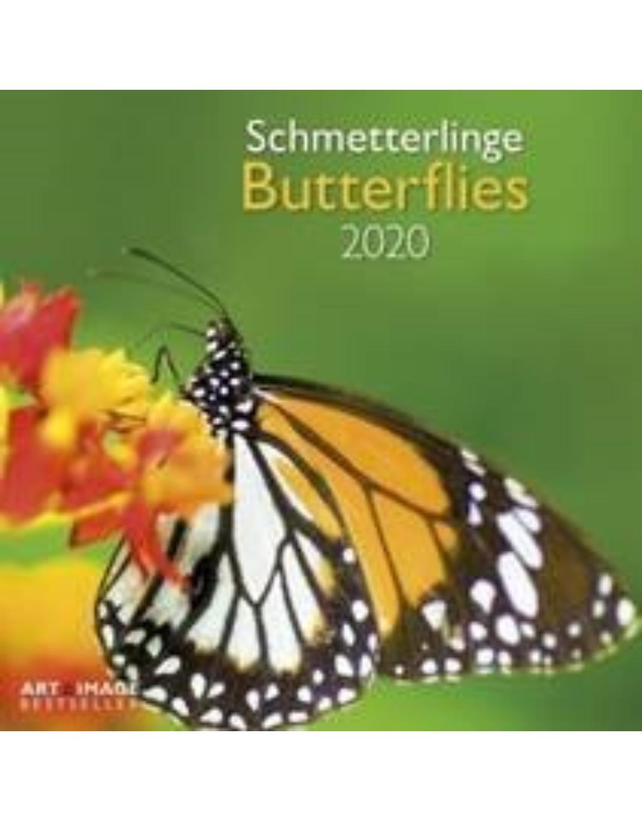 Butterflies 2020 A&I