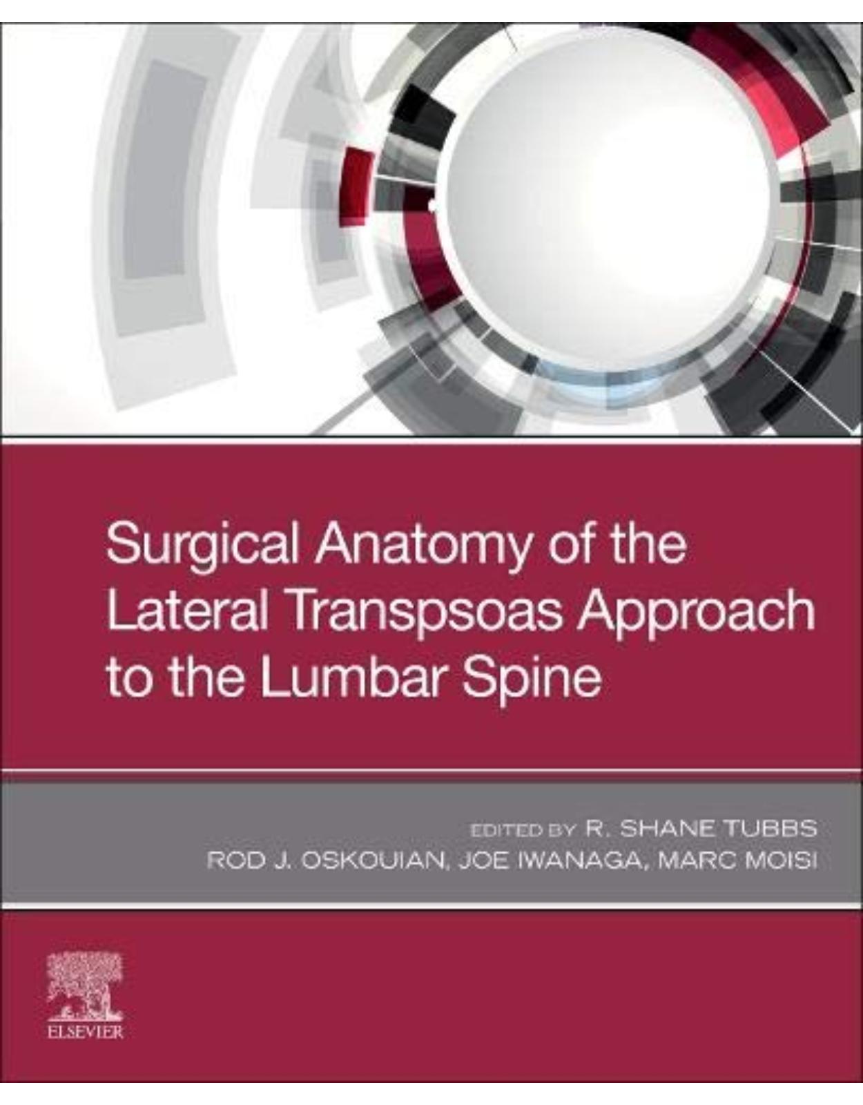 Surgical Anatomy of the Lateral Transpsoas Approach to the Lumbar Spine 
