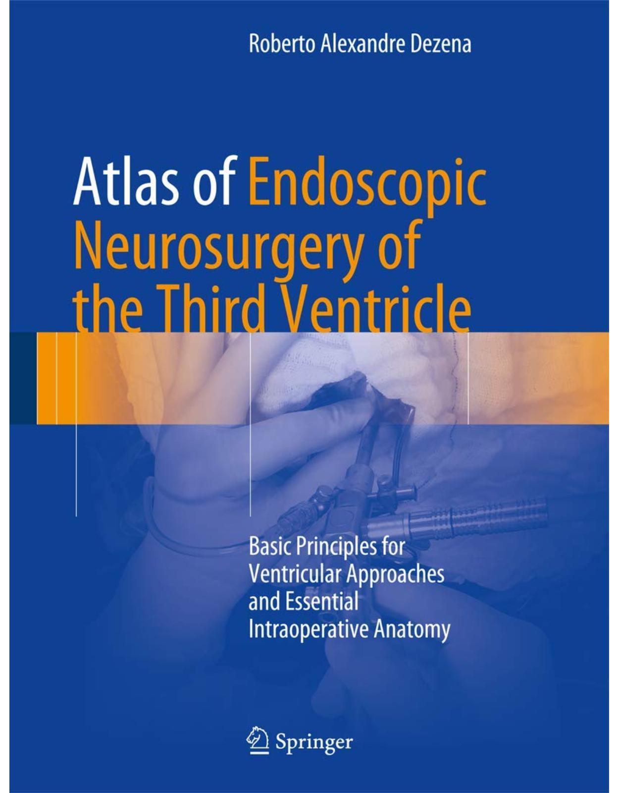 Atlas of Endoscopic Neurosurgery of the Third Ventricle