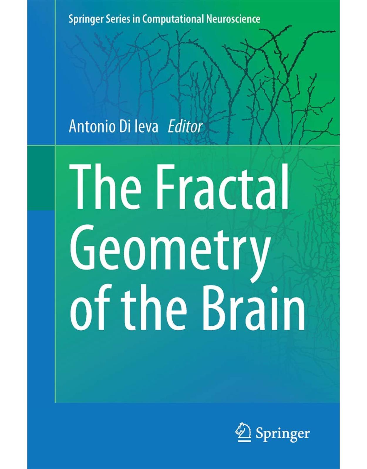 The Fractal Geometry of the Brain