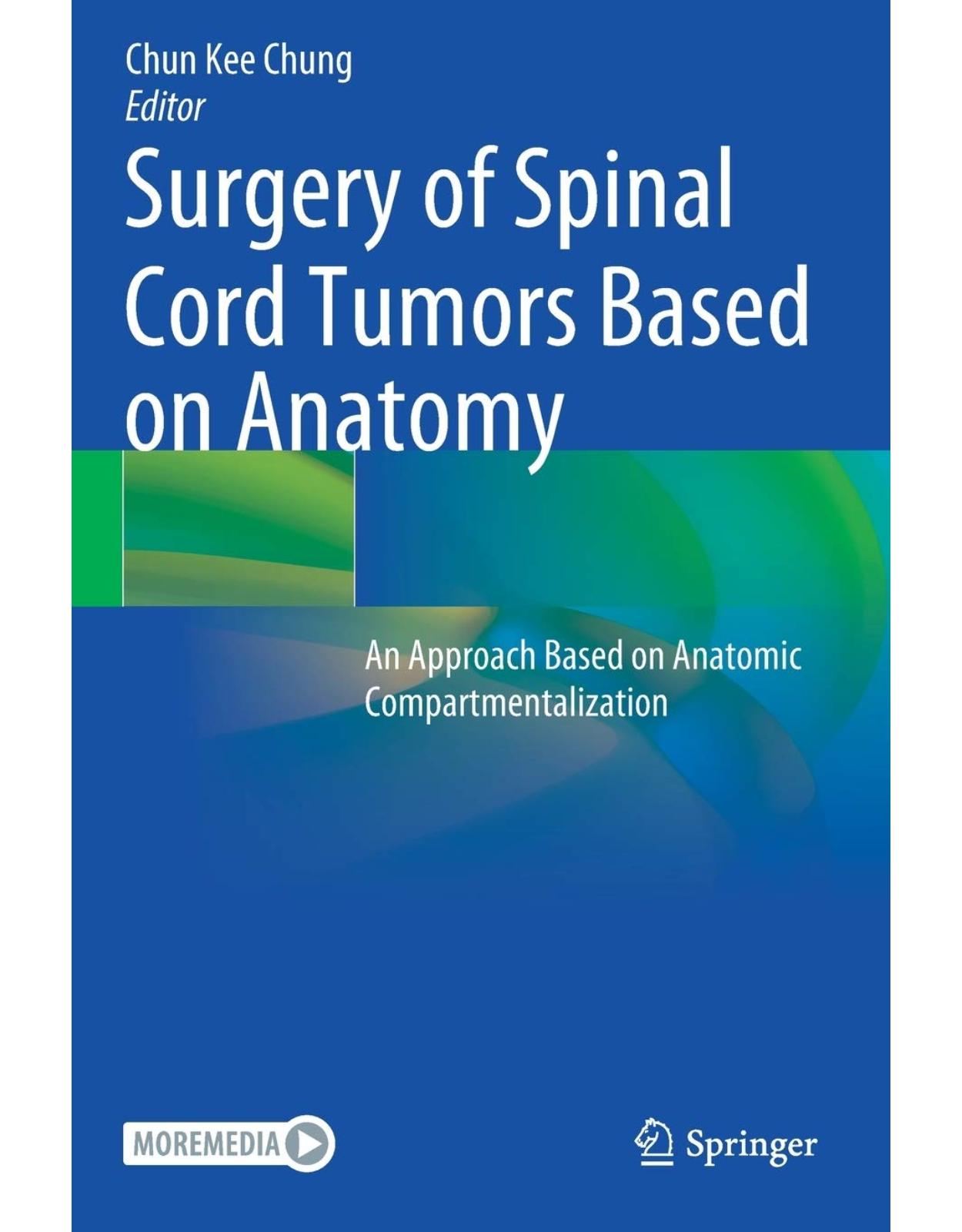 Surgery of Spinal Cord Tumors Based on Anatomy