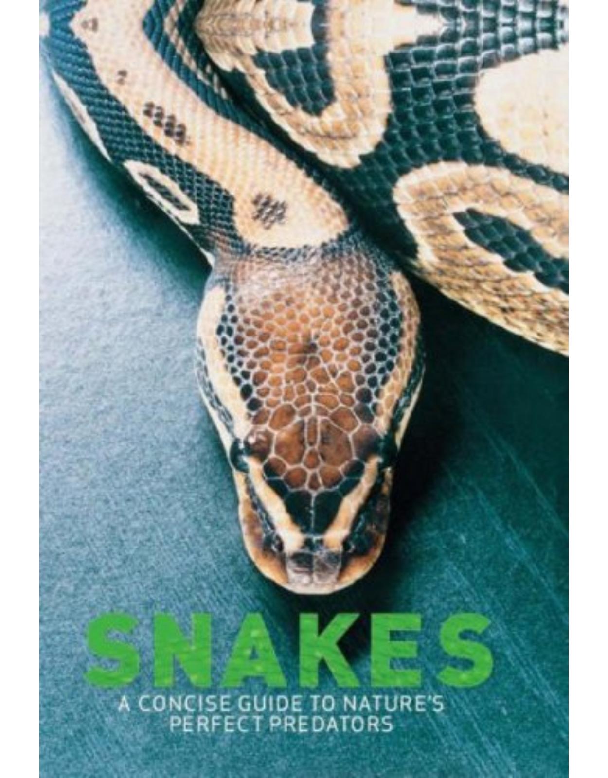 Snakes. A Concise Guide to Nature's Perfect Predators.