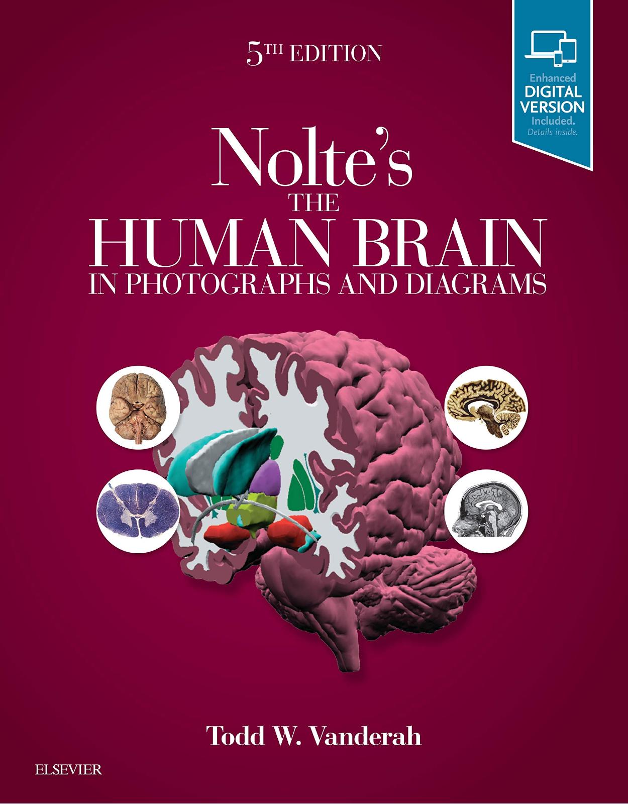 Nolte's The Human Brain in Photographs and Diagrams, 5e: With STUDENT CONSULT Online Access