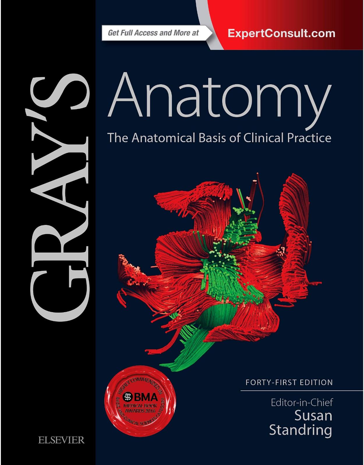 Gray s Anatomy: The Anatomical Basis of Clinical Practice, 41e