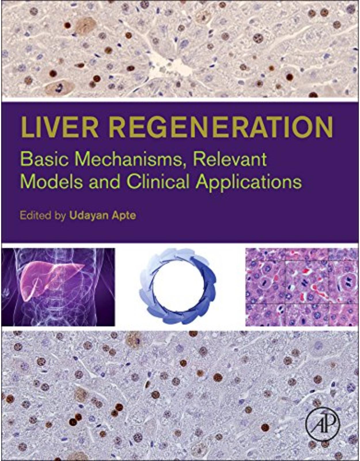 Liver Regeneration: Basic Mechanisms, Relevant Models and Clinical Applications