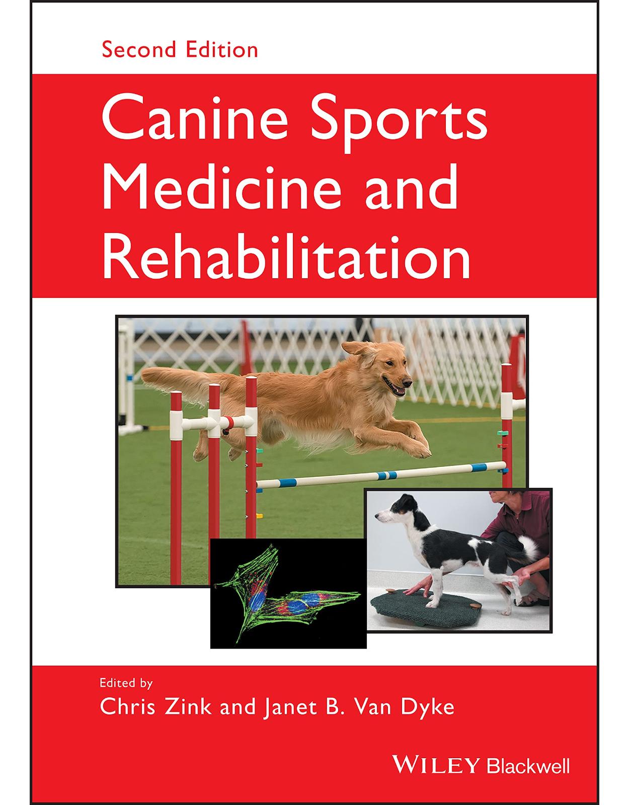 Canine Sports Medicine and Rehabilitation