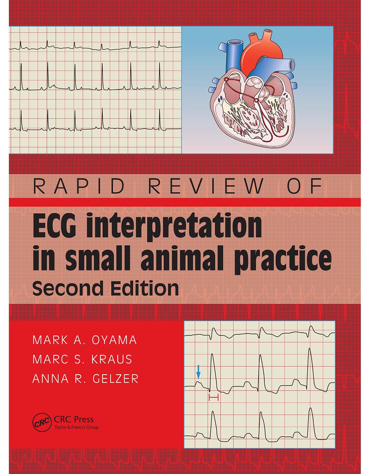 Rapid Review of ECG Interpretation in Small Animal Practice