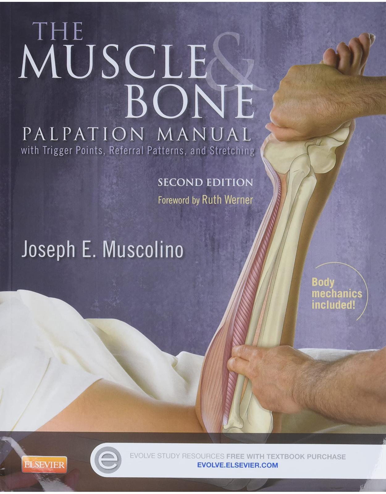 The Muscle and Bone Palpation Manual with Trigger Points, Referral Patterns and Stretching, 2e