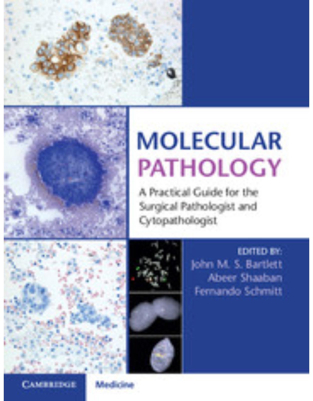Molecular Pathology with Online Resource: A Practical Guide for the Surgical Pathologist and Cytopathologist