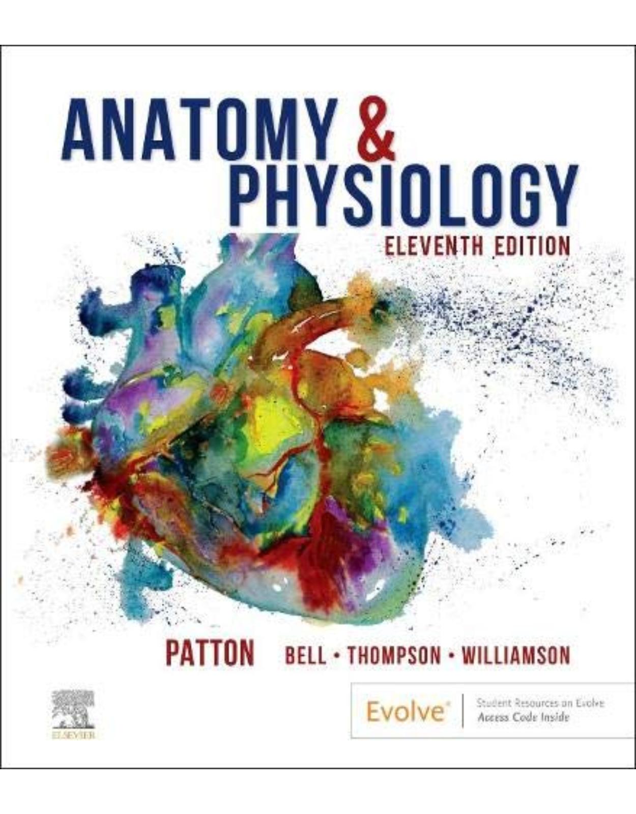 Anatomy & Physiology