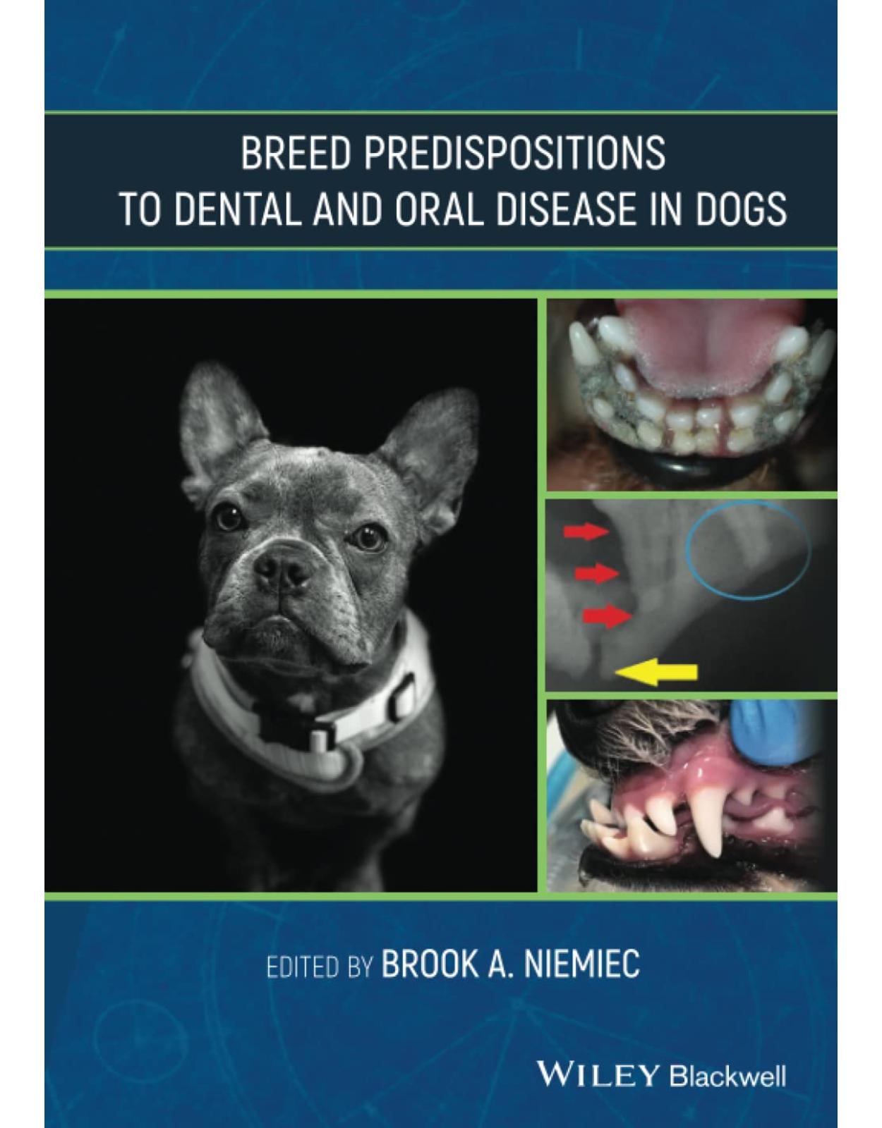 Breed Predispositions to Dental and Oral Disease in Dogs