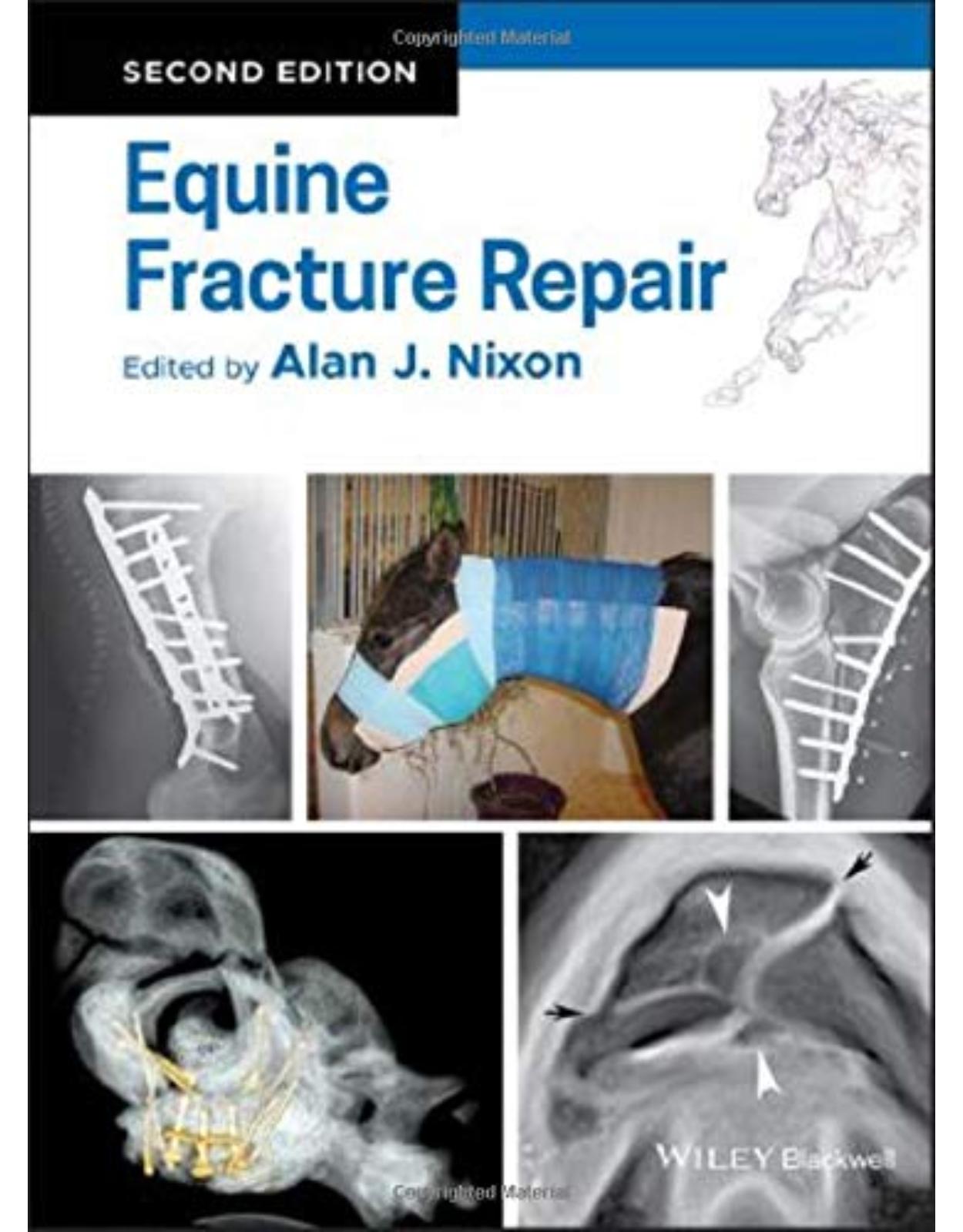 Equine Fracture Repair 