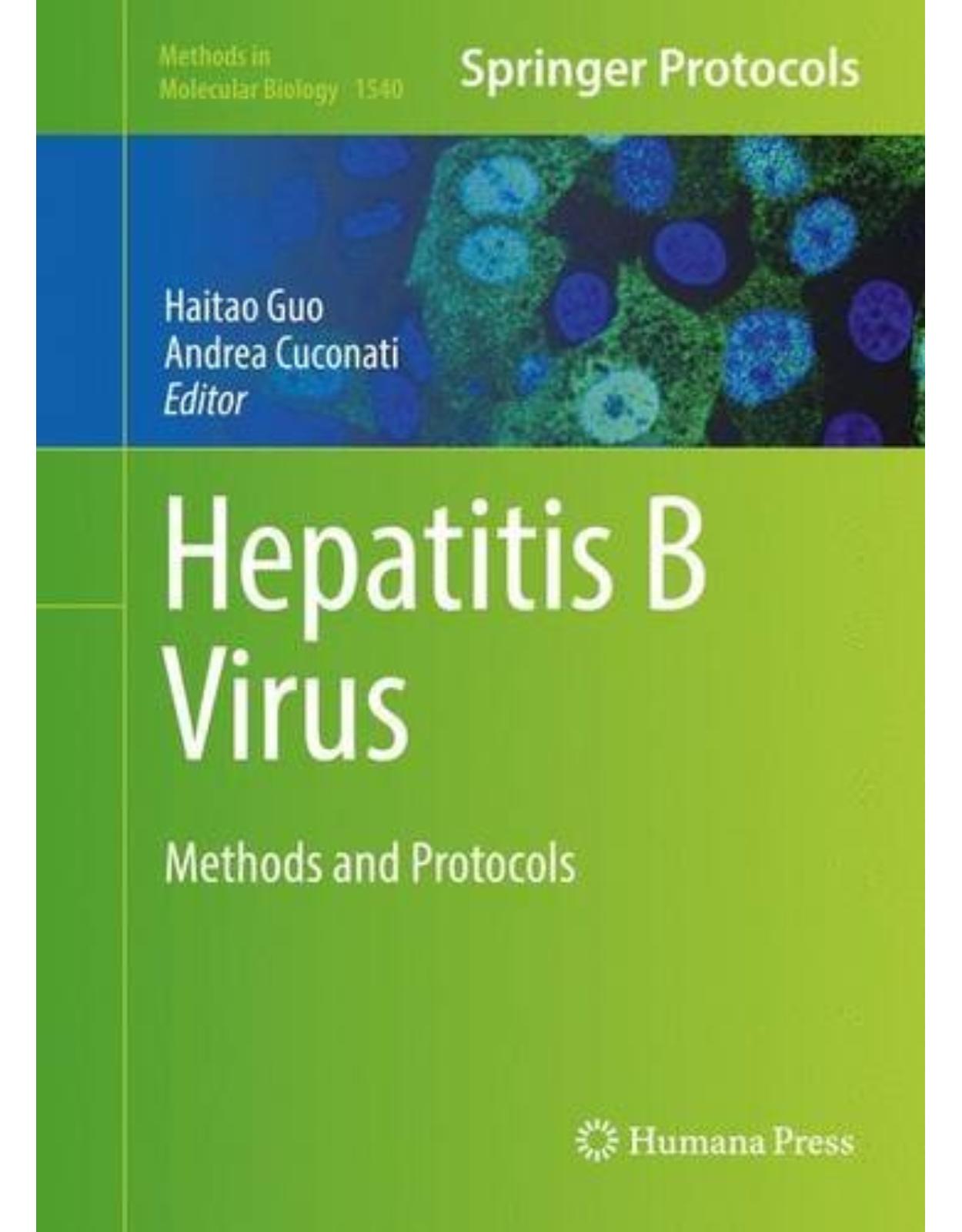 Hepatitis B Virus