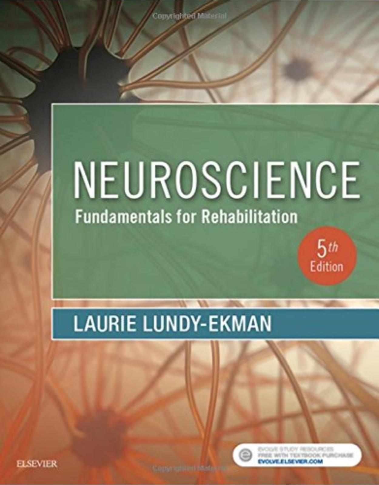 Neuroscience: Fundamentals for Rehabilitation