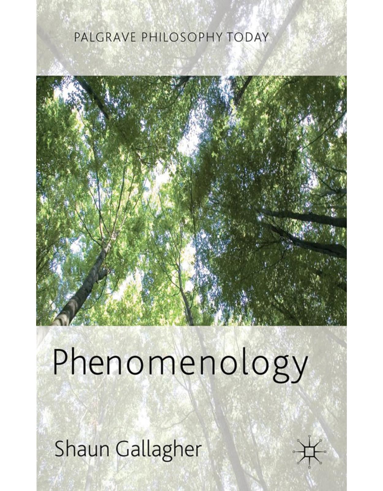 Phenomenology (Palgrave Philosophy Today)