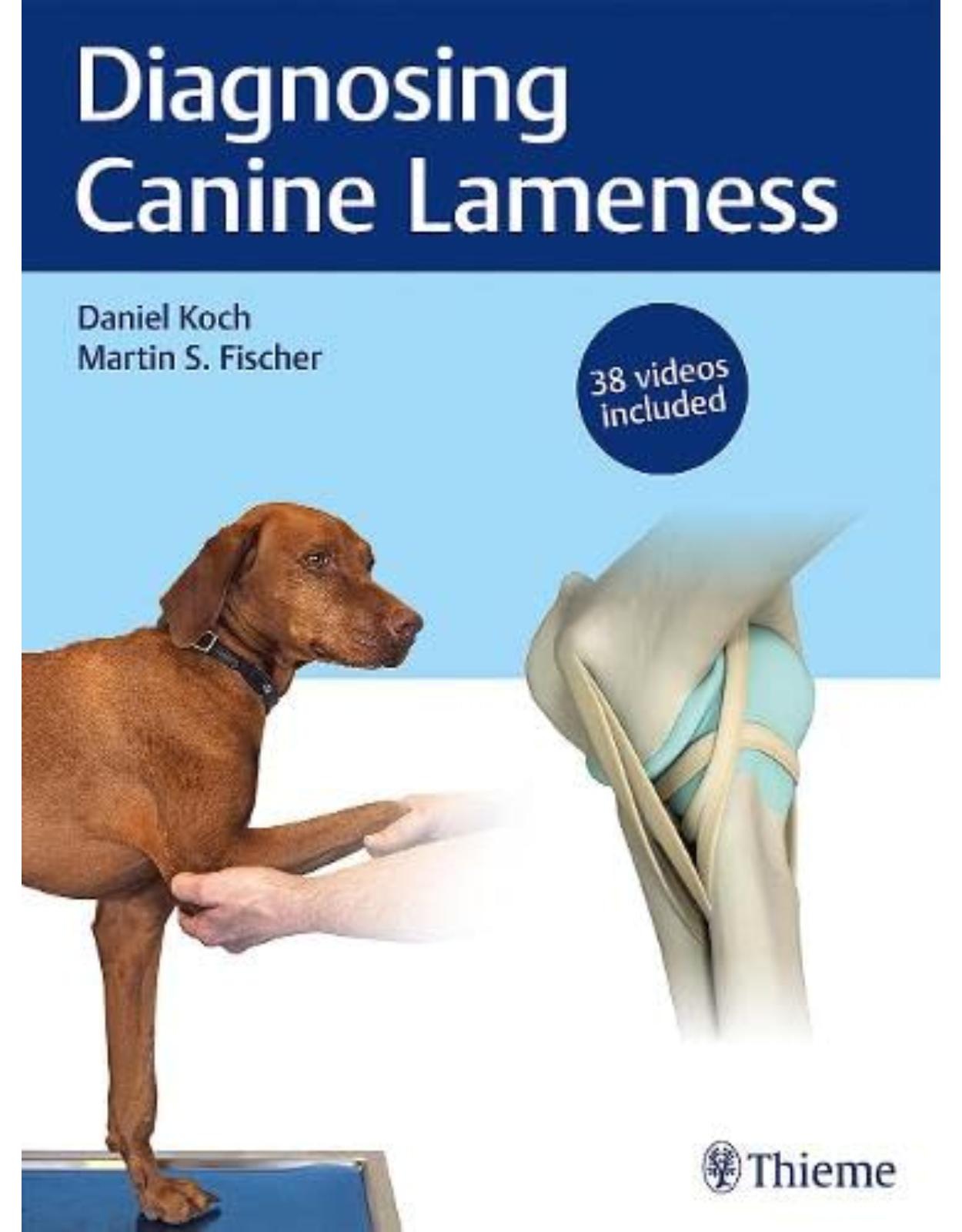 Diagnosing Canine Lameness