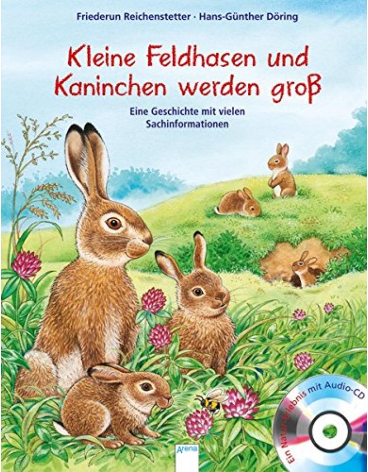 Wie kleine Feldhasen und Kaninchen groß werden: Eine Geschichte mit vielen Sachinformationen