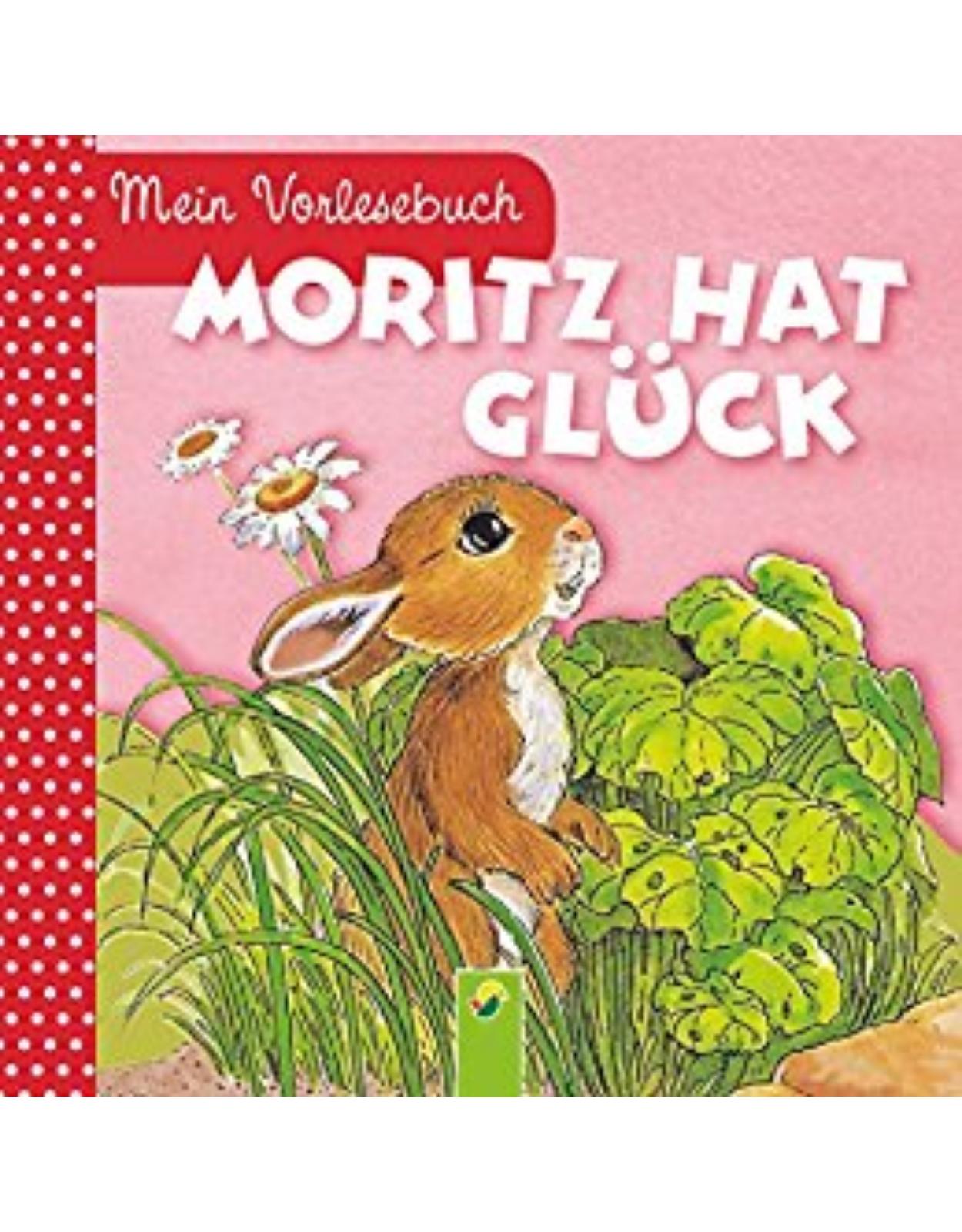 Moritz hat Glück: Mein Vorlesebuch. Durchgehende Geschichte für Kinder ab 2 Jahren