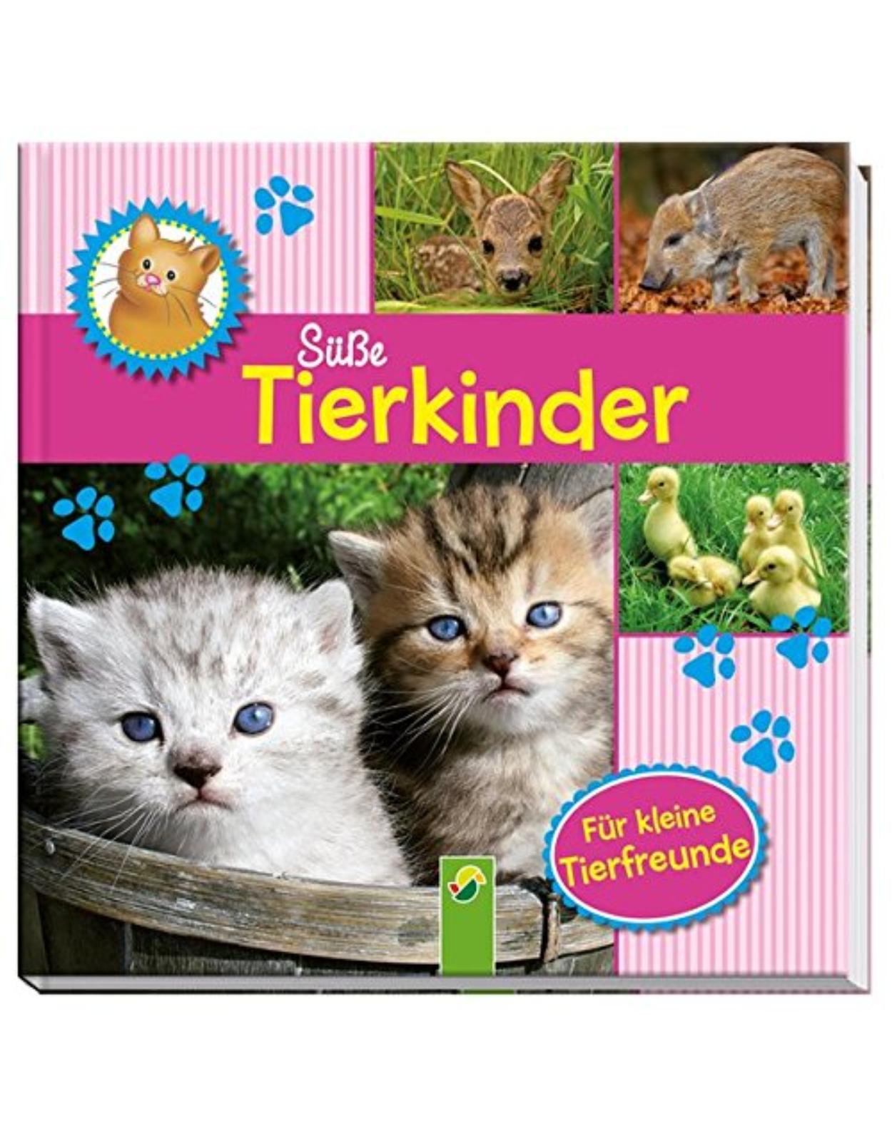 Süße Tierkinder: Fotobilderbuch für kleine Tierfreunde