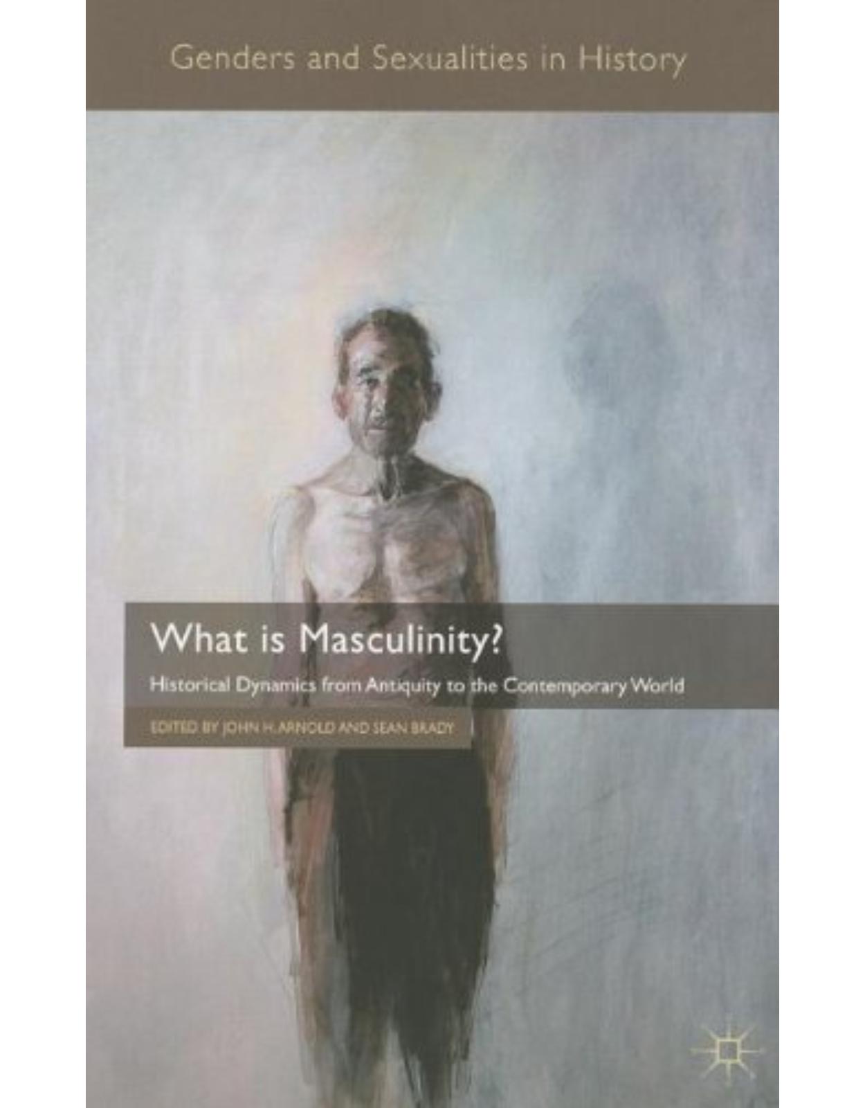 What is Masculinity?: Historical Dynamics from Antiquity to the Contemporary World (Genders and Sexualities in History) 