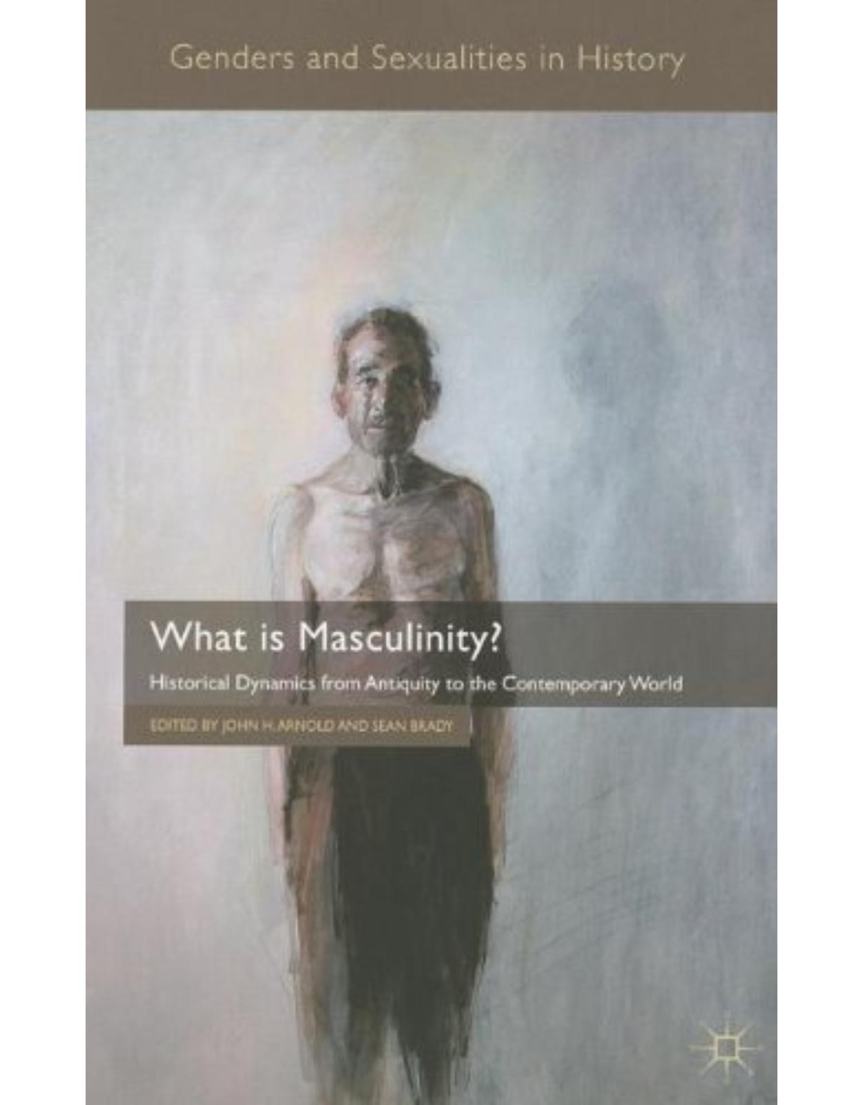 What is Masculinity?: Historical Dynamics from Antiquity to the Contemporary World (Genders and Sexualities in History)