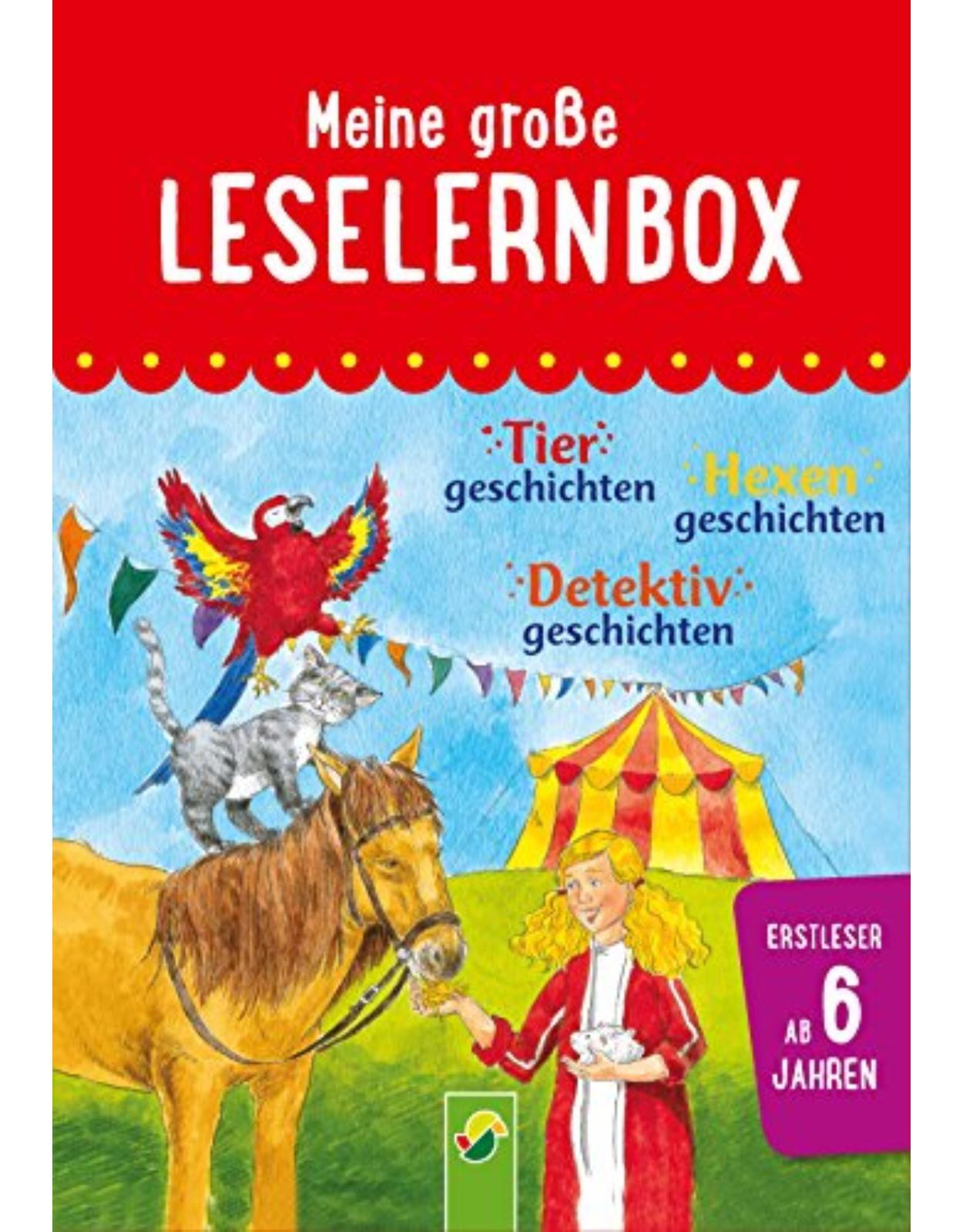 Meine große Leselernbox: Tiergeschichten, Hexengeschichten, Detektivgeschichten