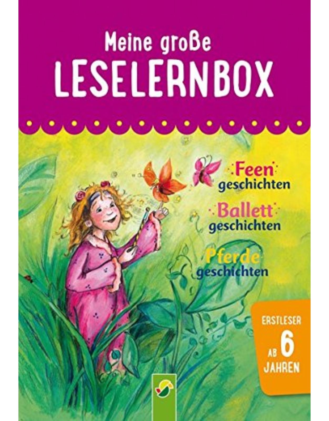 Meine große Leselernbox: Feengeschichten, Ballettgeschichten, Pferdegeschichten: Mit 3 Lesestufen (Leselernbuch)